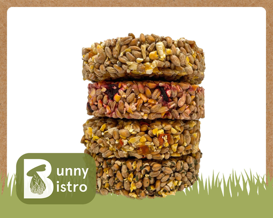 Bunny Bistro Mixed Seed Ring 4Pk | Treat For Hamsters, Gerbils, Rats