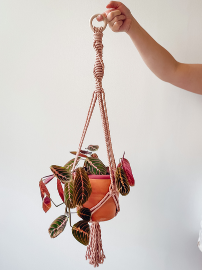 Blush Pink Large Plant Hanger | Macrame Elemental Fiber