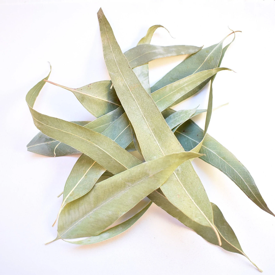 Eucalyptus Leaves 200G Eukaliptus Greek Eucalyptus Globulus Hand Picked Herb Dried