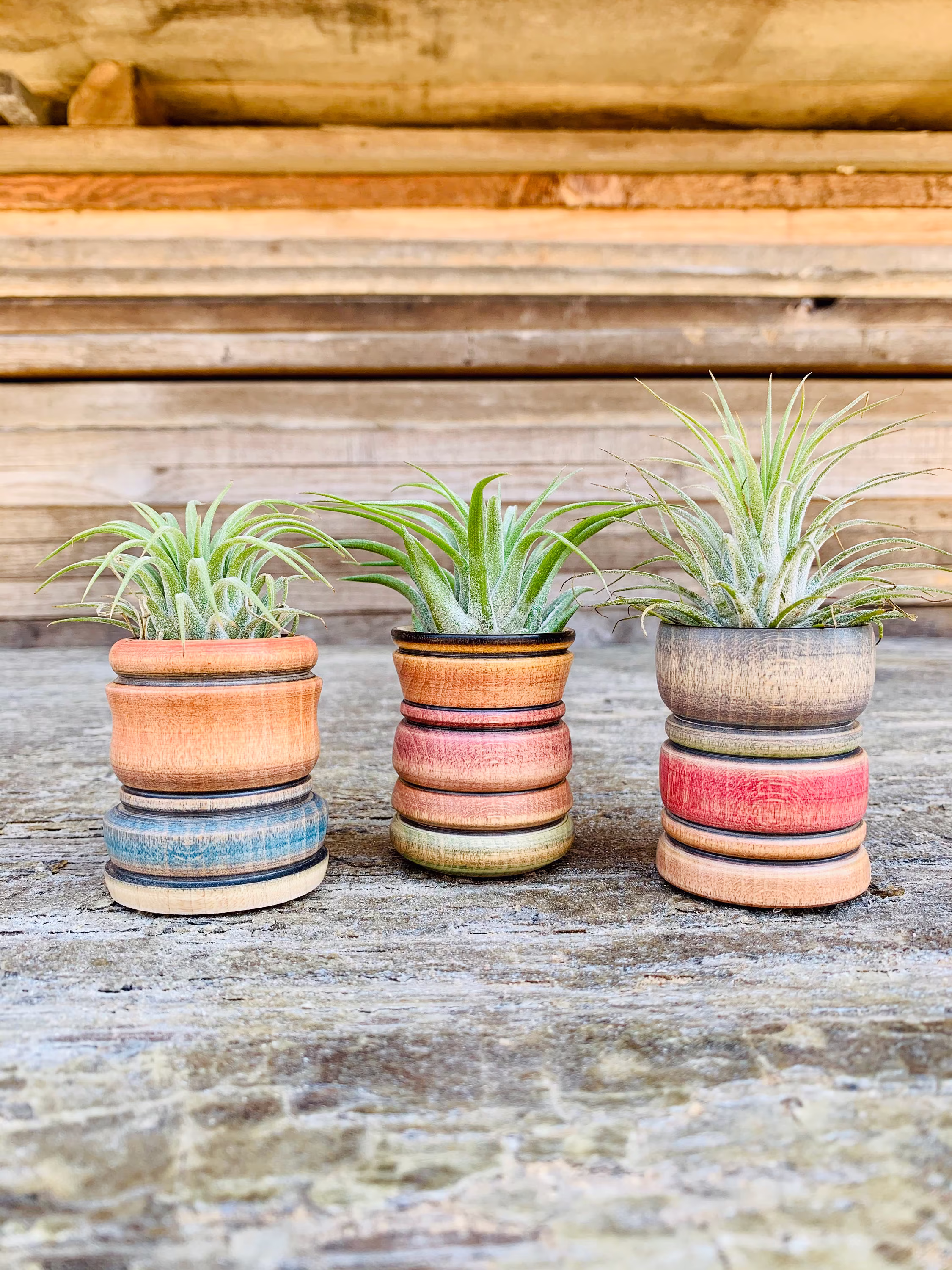 Air Plant Holder, Home Decor, Colorful, Gift Idea, Set Of 3