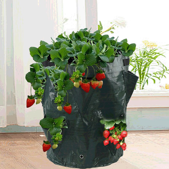 Strawberry Planting Bag Multi Bouches Plant Planting Bag Strawberry Planting Bag Round pe Medium pe 30x35cm (6 Bouches)