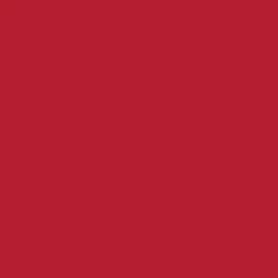 Red Solid Organic Fabric From Clothworks Everyday Solids Collection