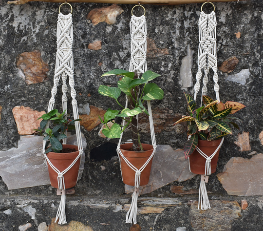 Set Of 3 Macrame Plant Hanger, Hanging Planter, Indoor Hanger , Macrame Holder, Macrame Hanging, Outdoor