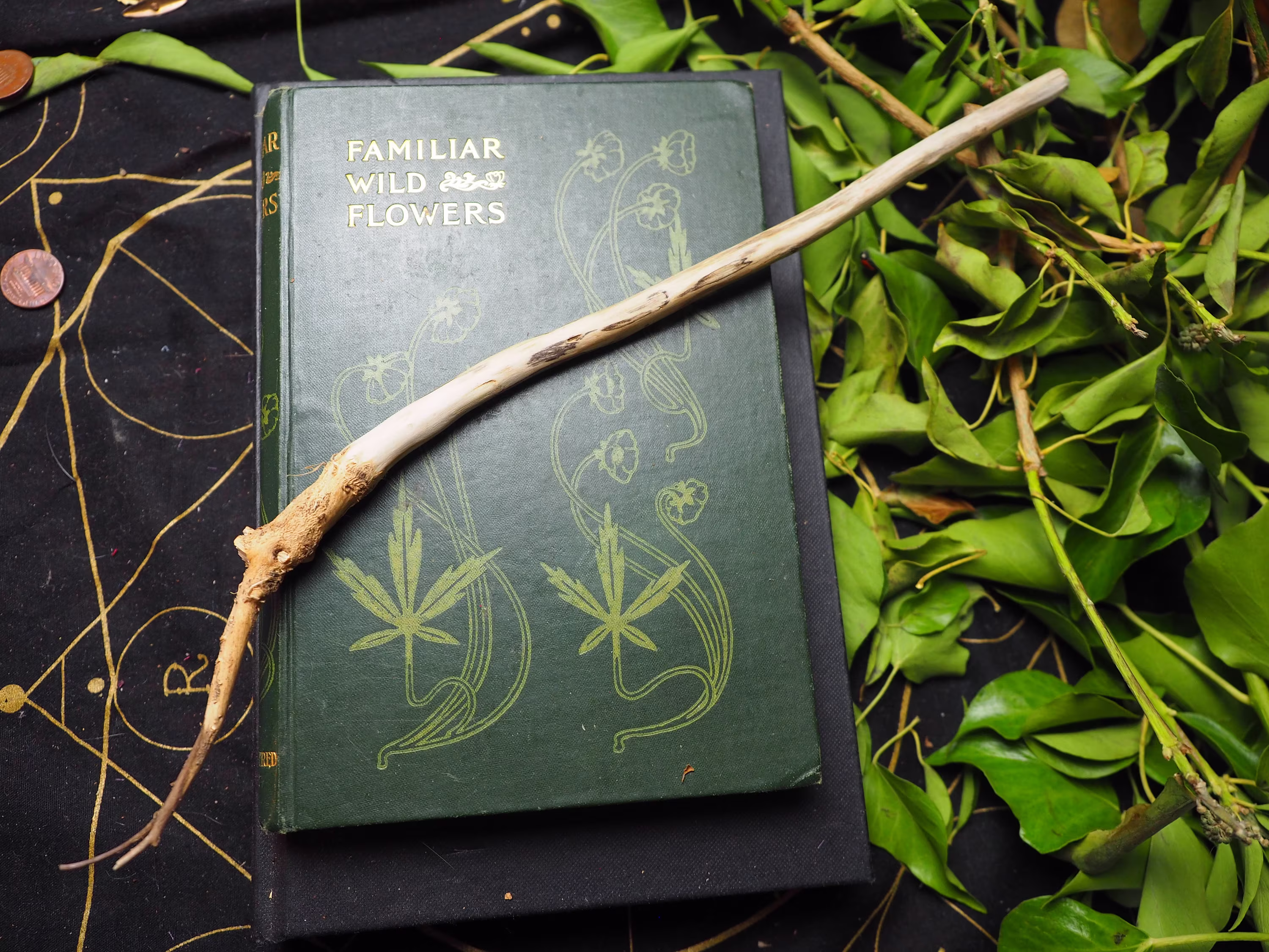 Rare Woad Wand - Healing, Ancestral Magic, Shape-Shifting, Pagan, Wicca, Witchcraft, Herb