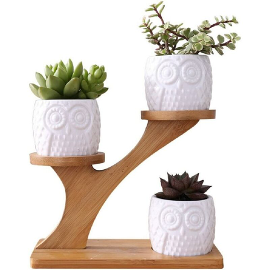 Bearsu - Cute Owl Pot Succulent Planter Flowerpot Decor for Home Office Desk?with Bamboo Saucers Stand Holder (Owl Pot with Stand)