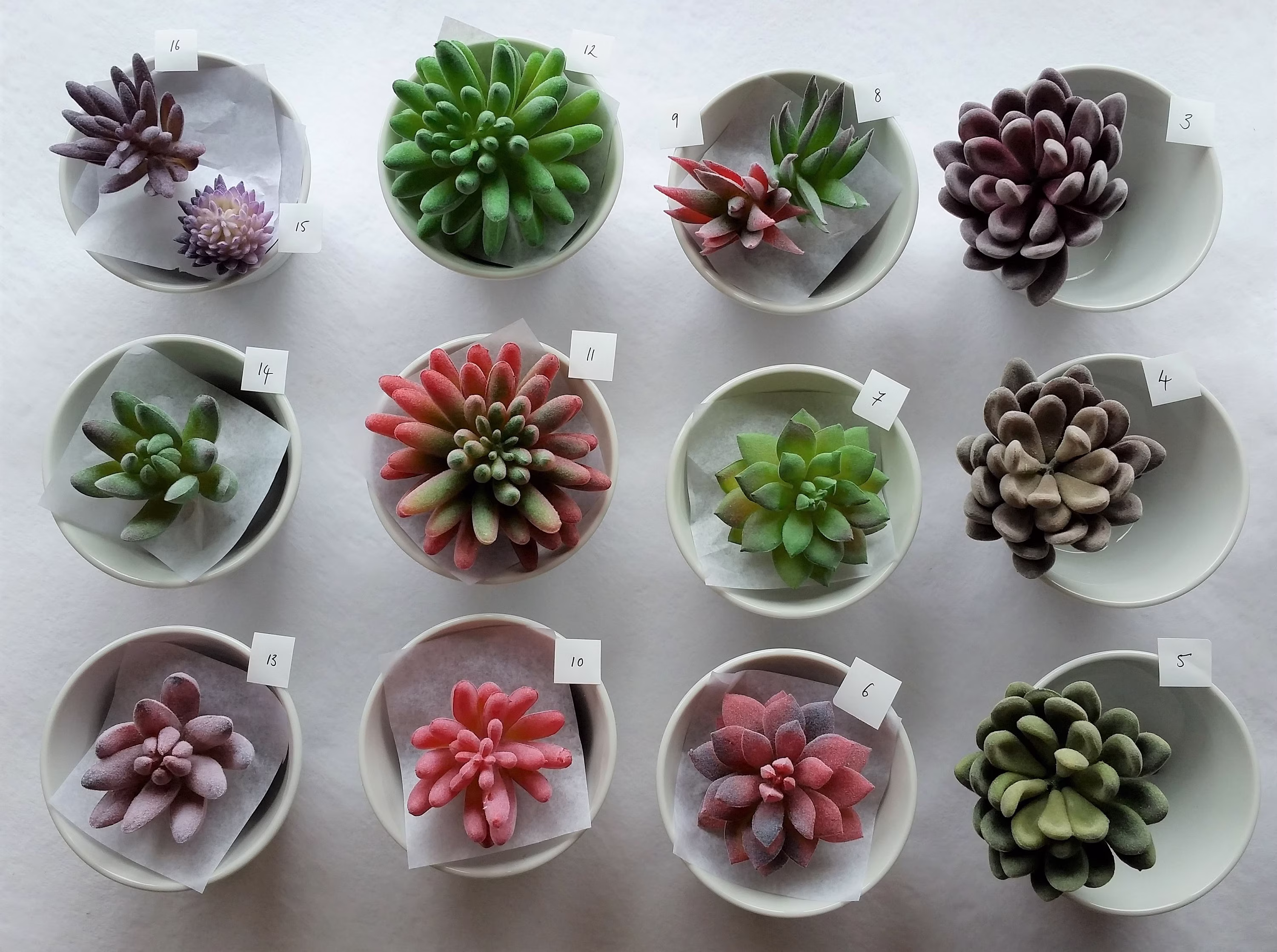 Succulent Plants Faux Succulents Artificial Fake Stems Favours Gift Plant For Pot