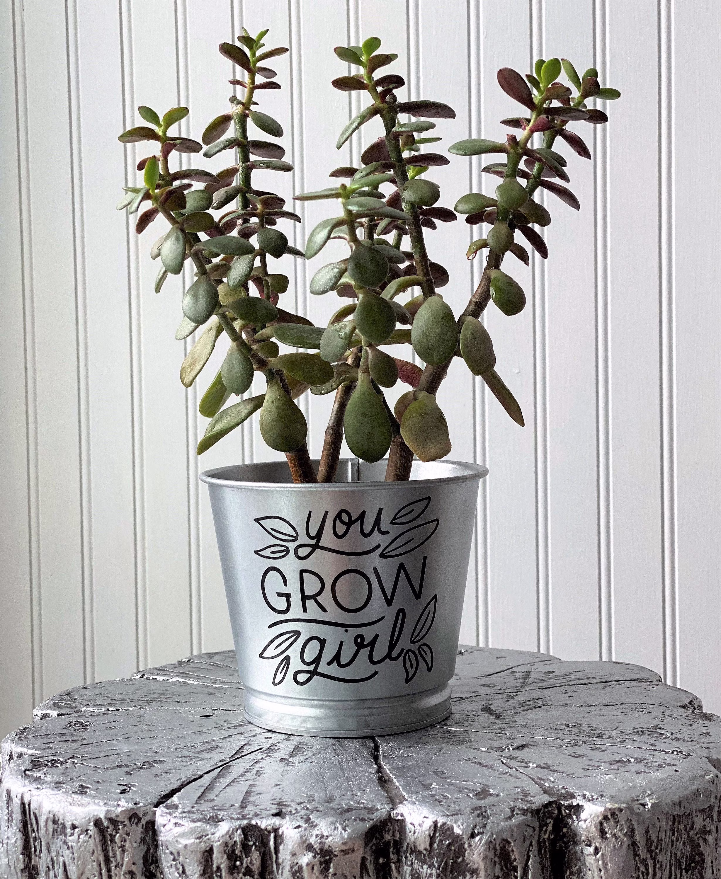 You Grow Girl Planter/Silver Galvanized Metal Indoor Farmhouse Décor Inspirational Achievement Gift For Her