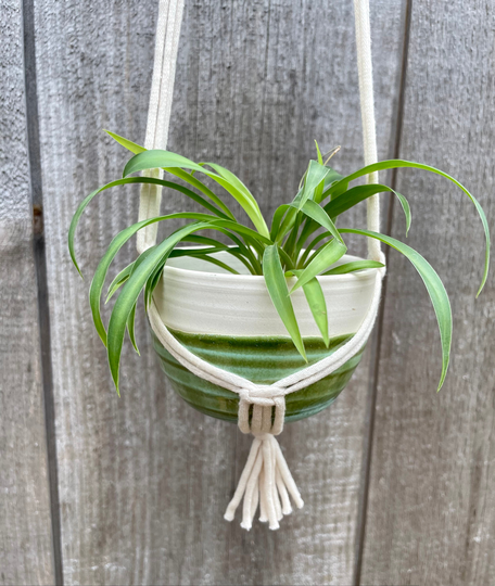 Small Handmade Ceramic Hanging Planter in Spearmint Green Free Shipping