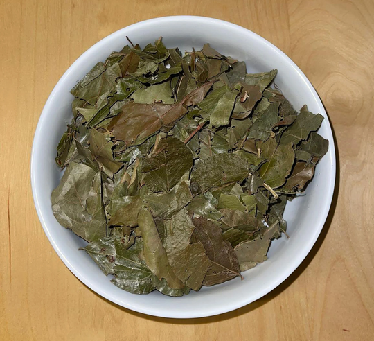 Kinkeliba Tea - Organic Gambia & Senegal Bush