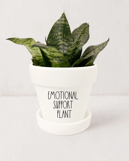 Emotional Support Plant Indoor Planter | Rae Dunn Inspired Pot with Saucer Funny Pots For Plants Not Included | Matte White