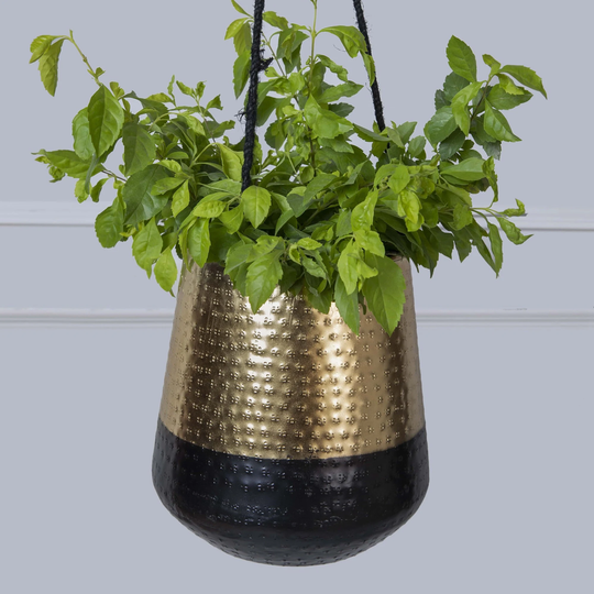 2 Tone Hanging Plant Pot | Elegant Black & Gold Indoor Holder in Two Colours Home Office Decor