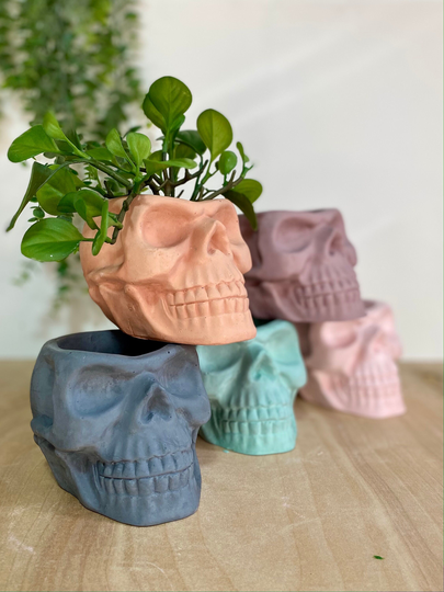 Skull Planter Pot, Multicolored, Indoor Planter, Outdoor Fall Decor, With Or Without Drainage Hole