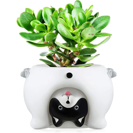 Cute Animal Flower Pot Cartoon Flower Pots Mini Succulent Plant Pots Small Cute Resin Plant Pot with Drain Hole, 2.6 Inches (White Dog)