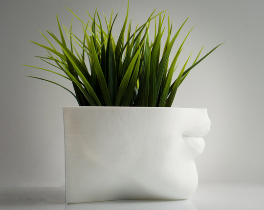 Lips Planter, Eco Face Vase, Succulent Plant Pot, Female Form, Unique Made in Uk, Gift For Her, Herb 3D Printed, Flower Pot