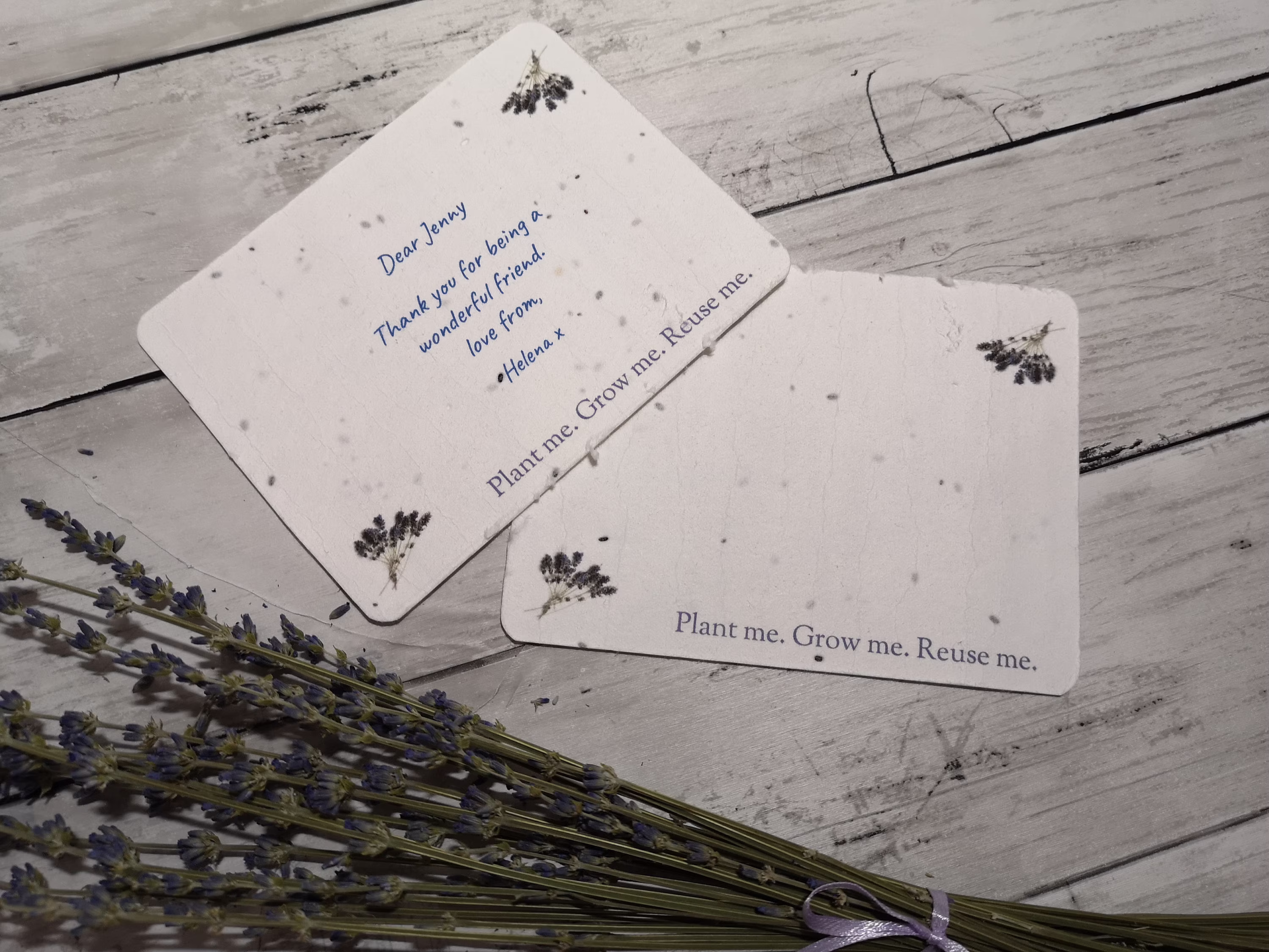 Lavender Seed Paper Notes