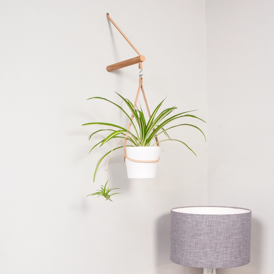 Peg Plant Hanger + Pot Holder, Plant Hanger, Leather Holder, Wall Planter, Stocking Filler, Christmas Gift