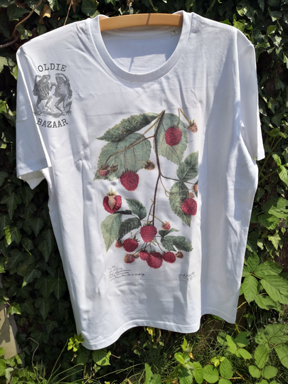 Blackberry | Watson | 1910 - Unisex Organic T-Shirt, Vintage Style Botany T-Shirt