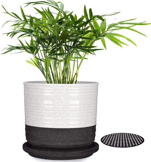 1-Pack Plant Pot, 6 Inch Ceramic Planters Pots With Drainage Hole & Trays For Herbs, Aloes, Money Trees, Cream White Cylinder Stripes