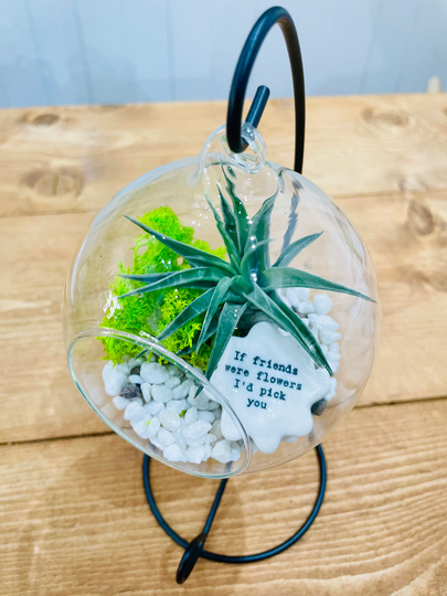 Diy Terrarium Air Plant Kit With Porcelain Stone For Friends. Best Friend Gift, Special Friend. Flowers