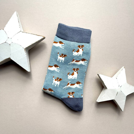 Bamboo Jack Russells Socks In Powder Blue