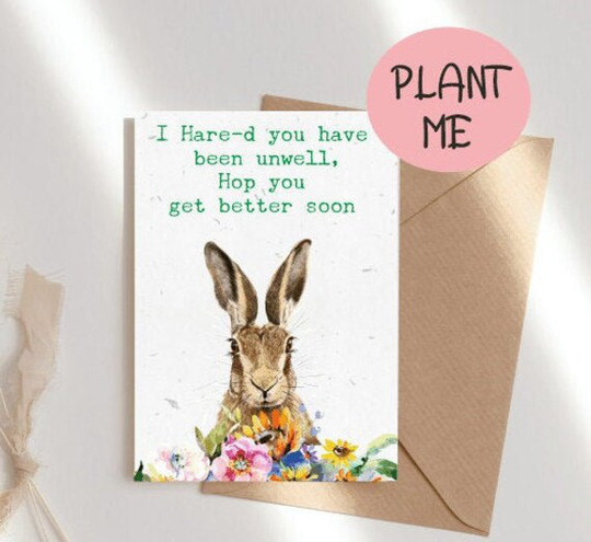 Get Well Soon -Plantable Flower Seed Cards- Bee Cards - Wildflower Cards -Get Hare