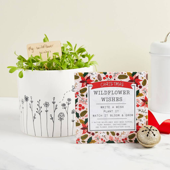 Christmas Wildflower Wishes Plantable Seed Gift Set