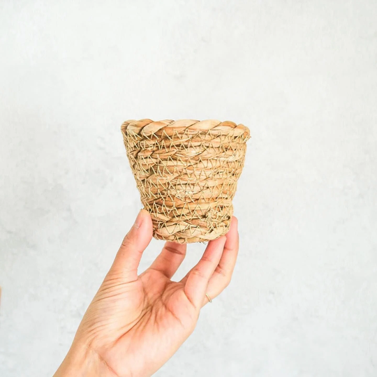Mini Basket Plant Pot | 6cm Plant Pot, Boho Planters, Bohemian Pots, Minimalist Cute Pots