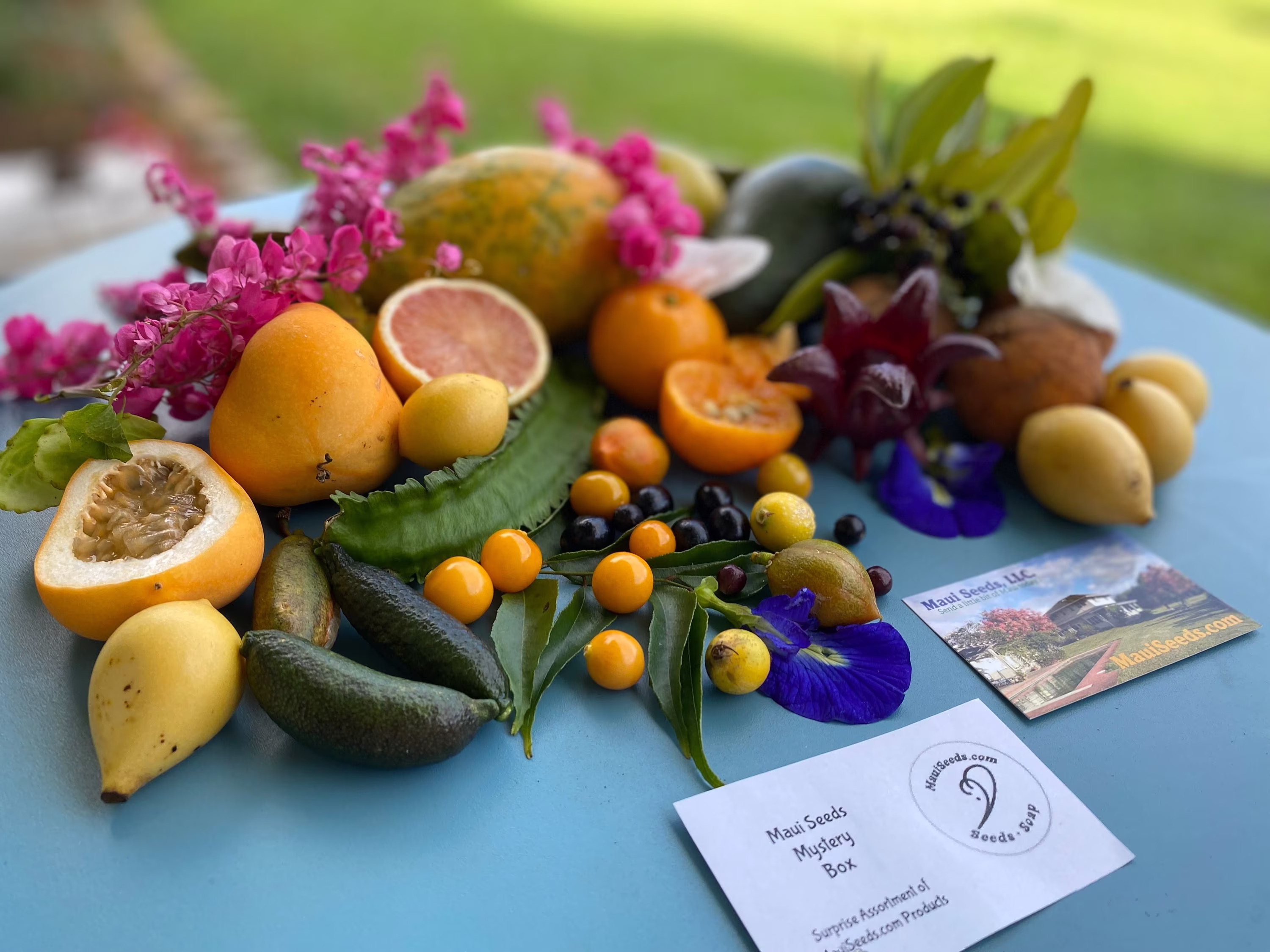 Maui Mystery Box/Box Of Surprises/Mini Box/Small Box/Medium Box/Large Box/Really Big/Soap Box/Seed Box/Fun Gift Idea/Samples