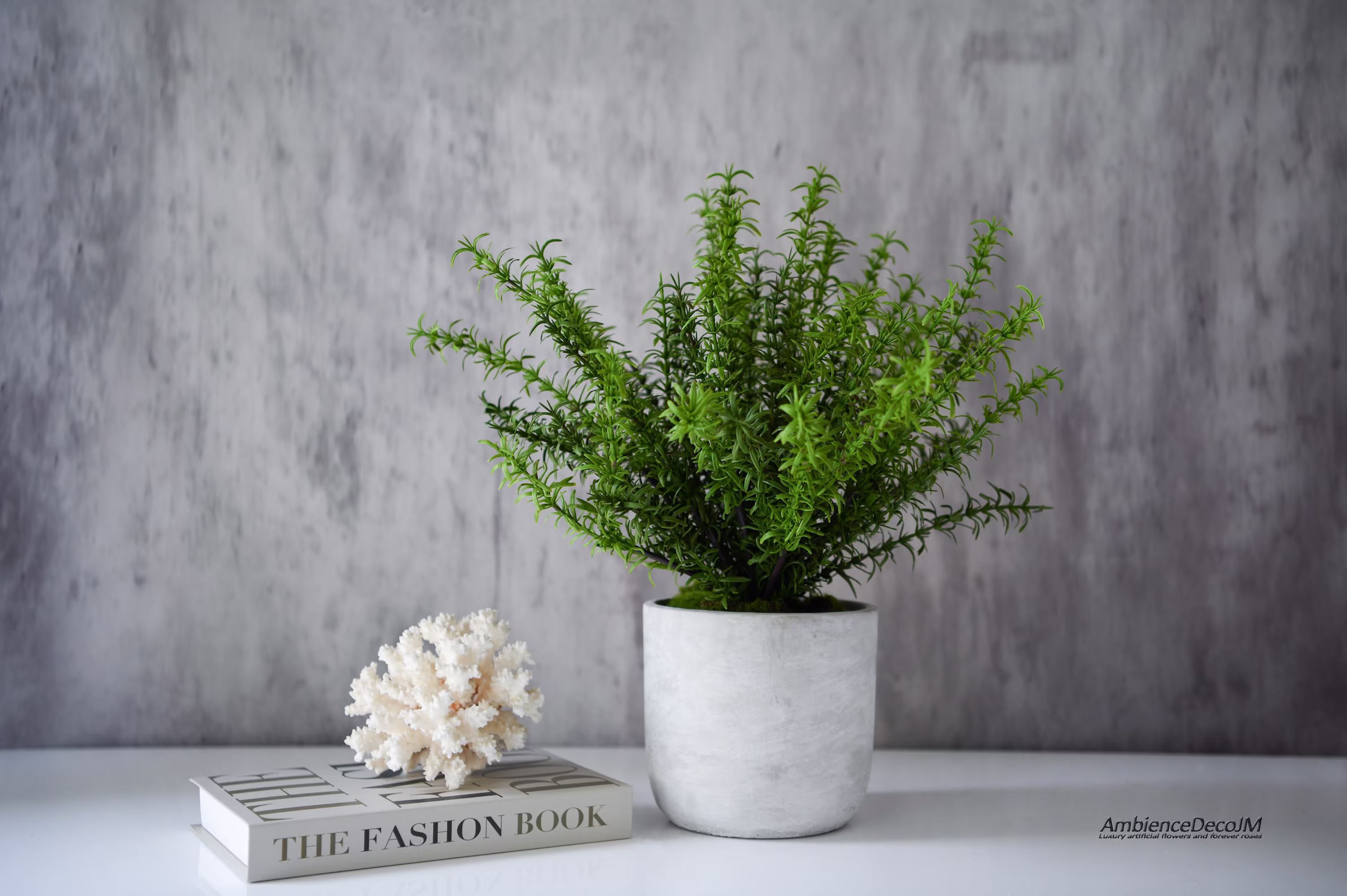 Realistic Potted Rosemary Plant