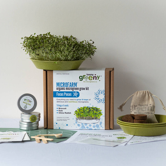 Children's Organic Grow Your Own Microgreens
