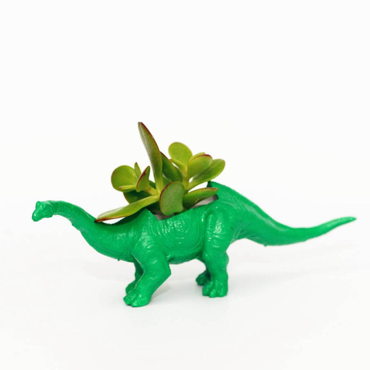 Green Diplodocus Dinosaur Planter With A Money Plant