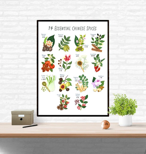 Herb Wall Art Chinese Spices Illustrations Poster Print