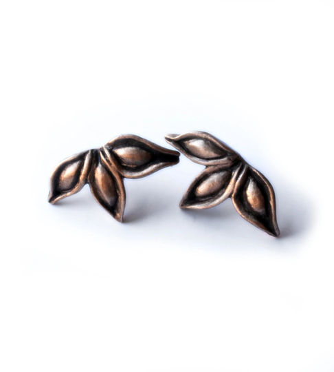 star Anise Pod Earrings, Bronze & Titanium Earrings