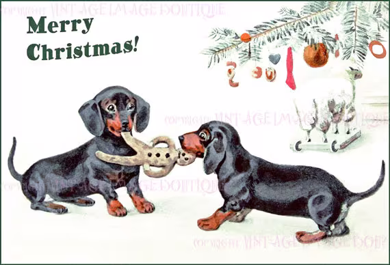 Antique 1920's Illustration Of Two Dachshund Puppies Playing Under A Christmas Tree Winter Season Solstice Holiday 5x7 Greeting Card