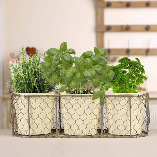 Set Of Three Herb Pots And Basket