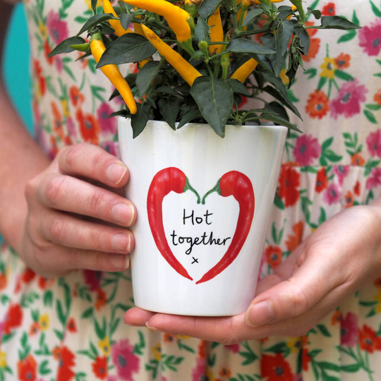 'Hot Together' Plant Pot With Chilli Seeds