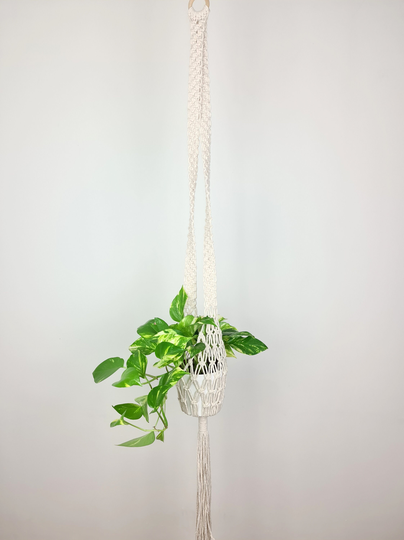 Macrame White Plant Hanger | Cotton Wooden Ring Hanging Decoration Natural Handmade Boho Flower