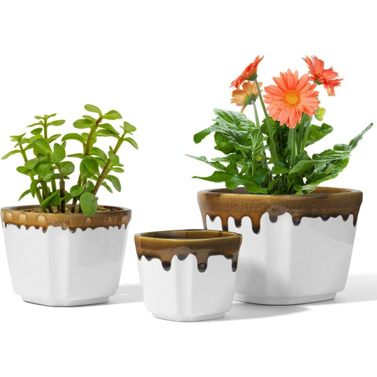 3 Sizes White Flower Pot Set of 3, Ceramic Succulent Plant Pots, Small Modern Cactus Flower Planters (Plant Not Included)