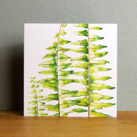 Sword Fern Greetings Card
