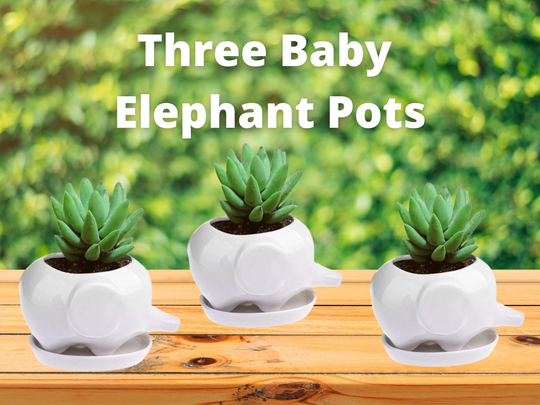 Three Elephant Miniature Planters. Multifunctional Baby Elephants Can Be Used As Candy Dishes, Office Supplies Holder, Elephant Themed Decor