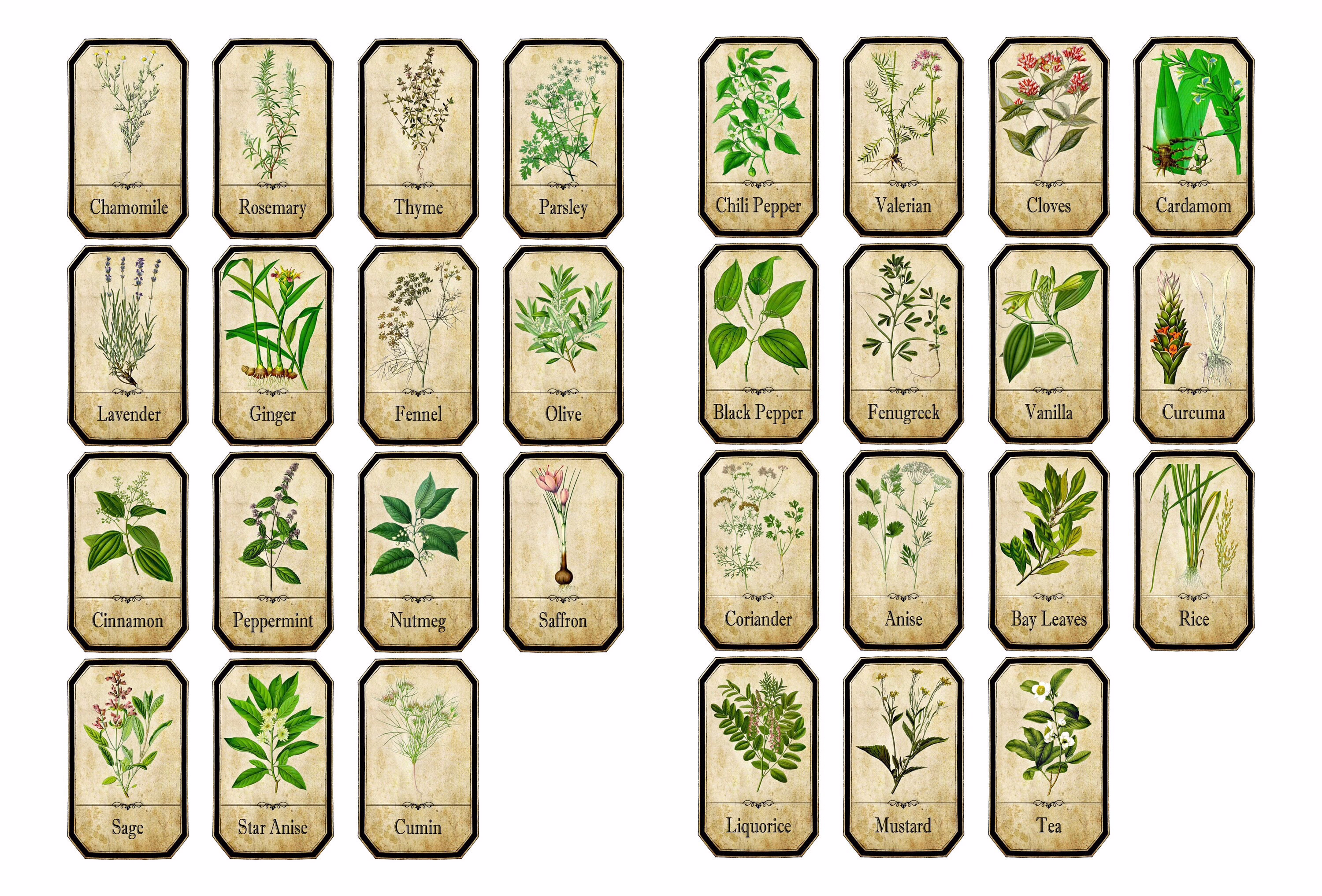 Set Of Vintage Style Apothecary Spice Herb Labels Sticky Backed Vinyl Water & Oil Proof