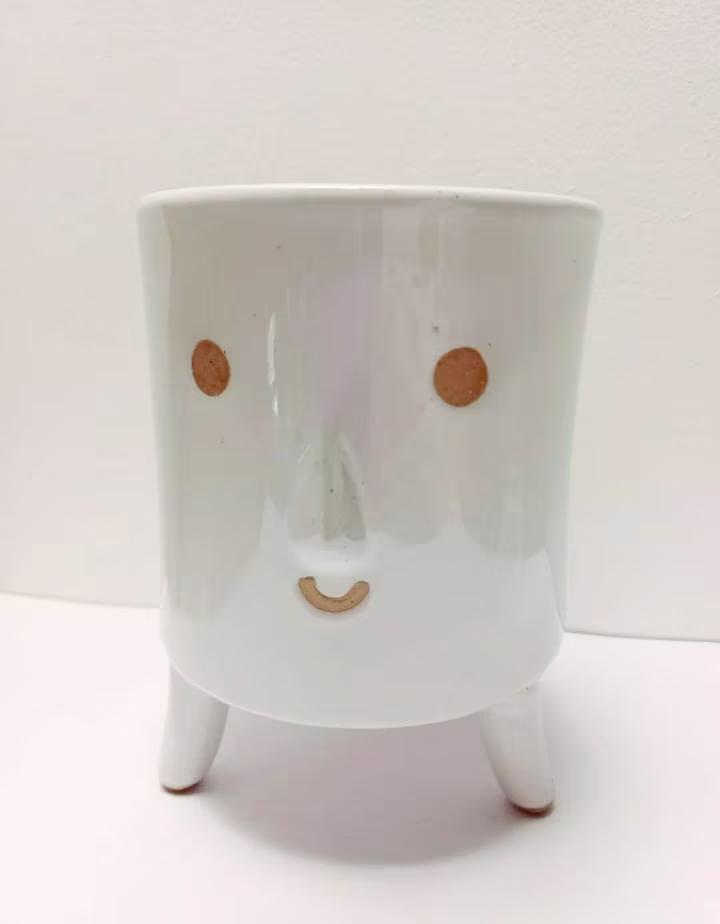 Tall Leggy Face Planter Plant Pot Glazed Stoneware Gift Sass & Belle 13cm Free UK Postage