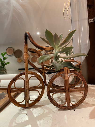 Bamboo Bicycle Planter | Vintage