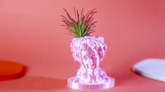 Bust Head Plant Pot|Bust Sculpture|Sculpture Planter|Indoor Planter| Succulent Desk Planter|Desk Decor|Indoor Garden| Theaeliana