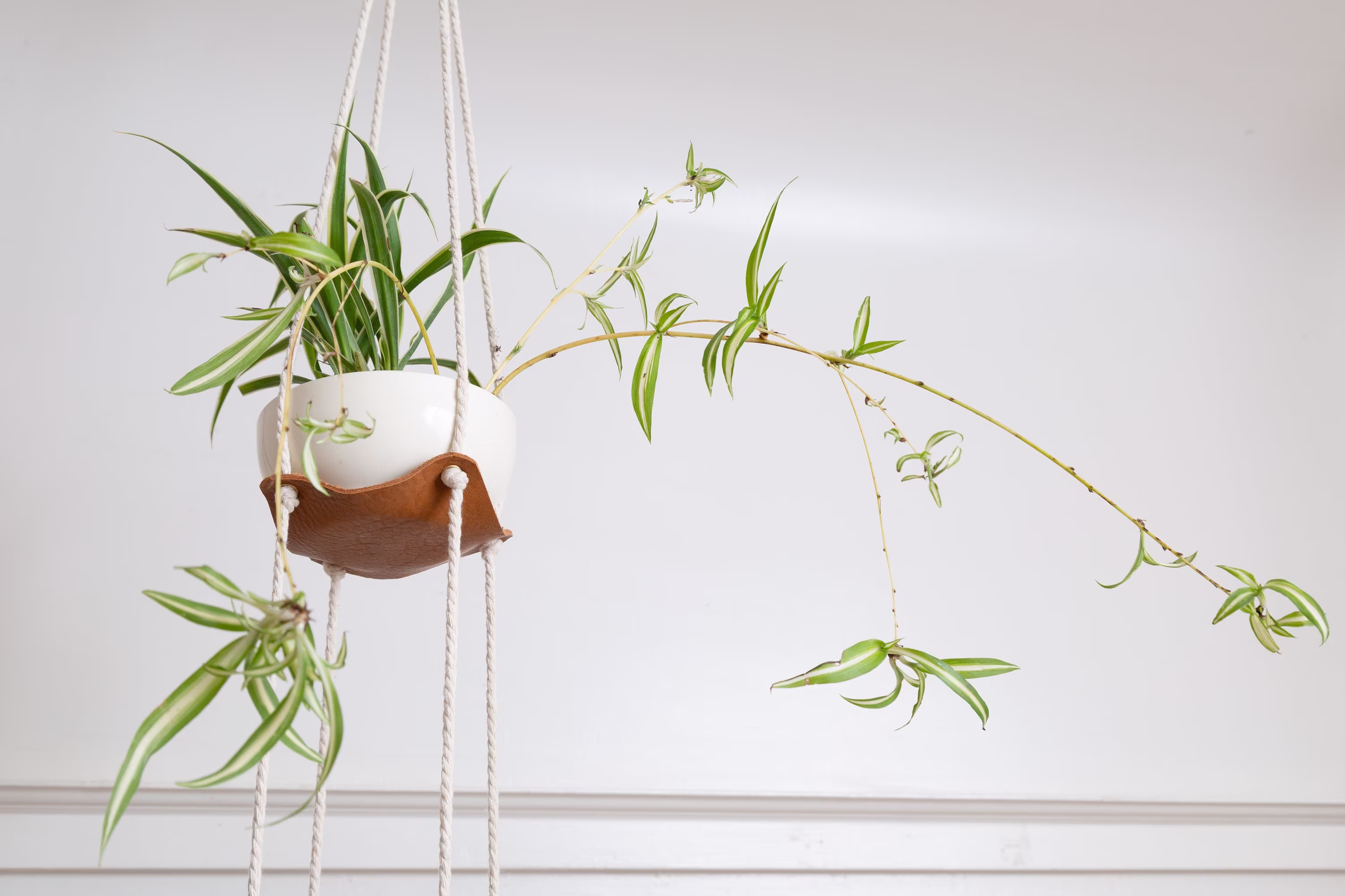 Two Tier Indoor Hanging Plant Hanger Leather Jungle Air Macrame Minimal 3rd Anniversary Decor Gift For Her