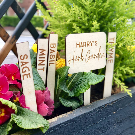 Personalised Set Of Five Herb Garden Plant Markers