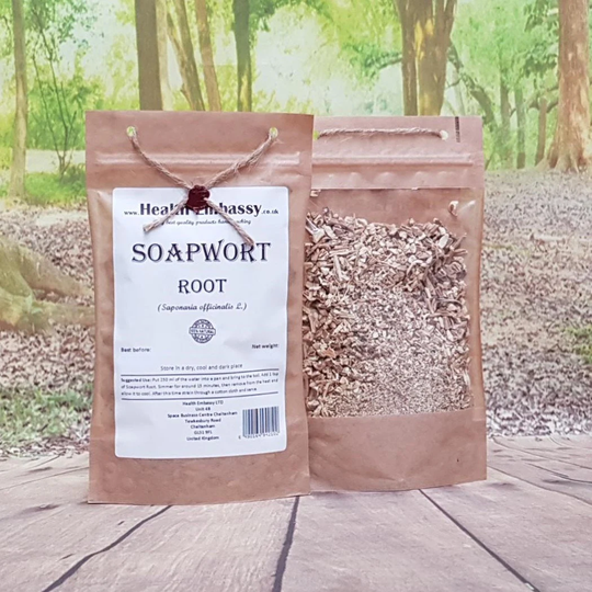 Soapwort Root/Saponaria Officinalis L Herbal Tea Health Embassy