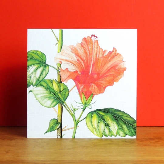 Hibiscus Greetings Card