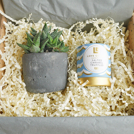 Plant & Salted Caramel Truffles Gift For Men | Gifts Gift Him Baby Boy Thank You Haworthia Corporate