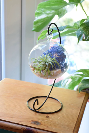 Diy Terrarium Air Plant Kit Hanging Glass Holder Gardner Gift Desk Accessories